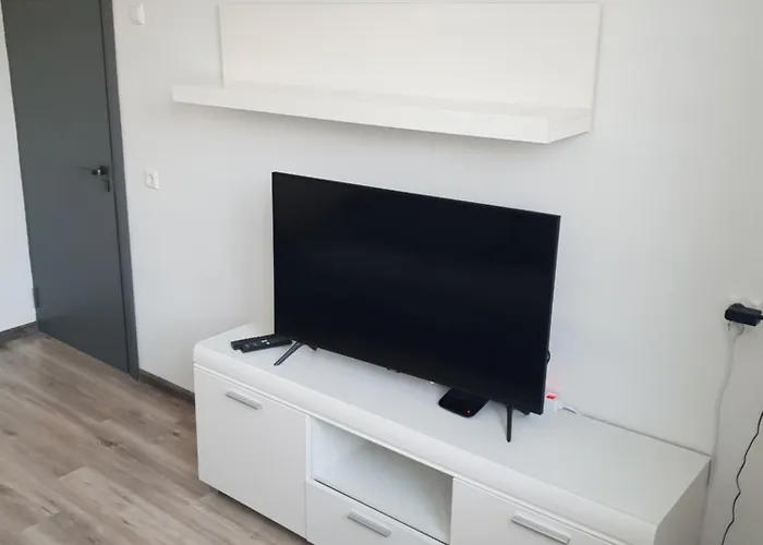 Dzuku 15 Паланга