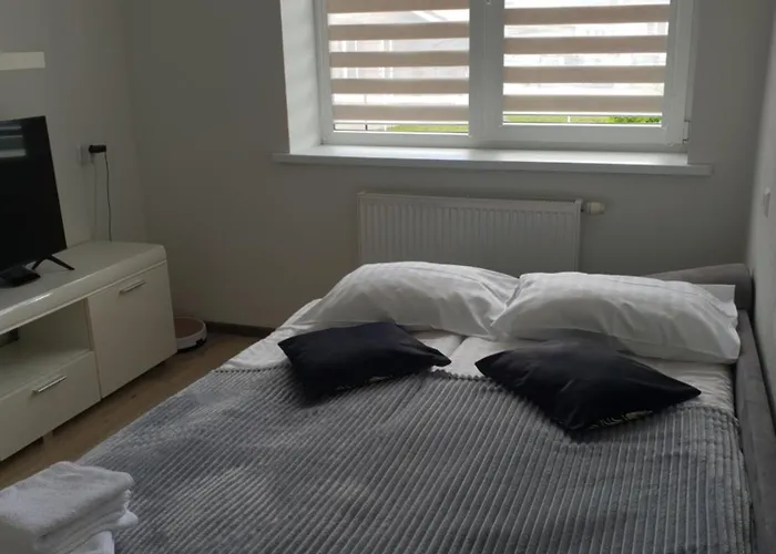 Dzuku 15 Апартаменты *