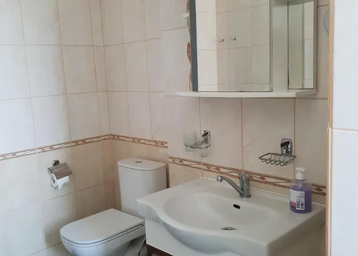 Dzuku 15 Паланга