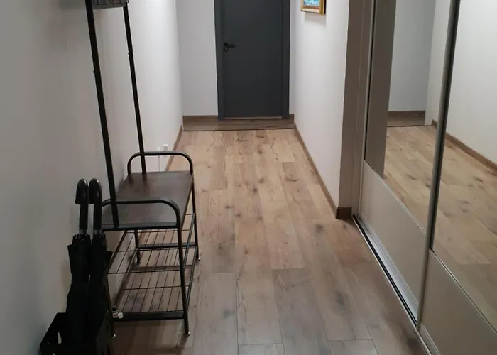 Dzuku 15 * Паланга